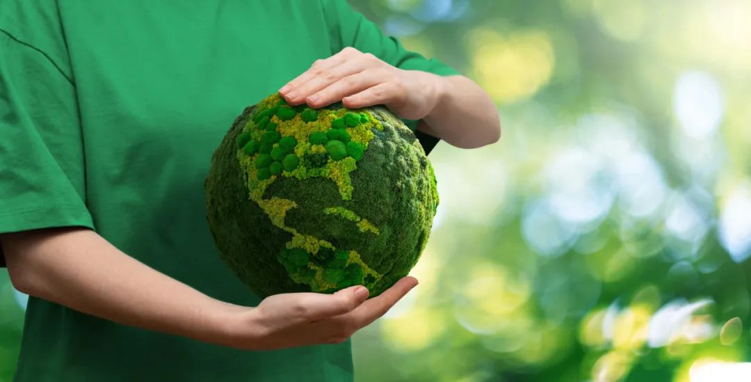 ������(�й���)���޹�˾����